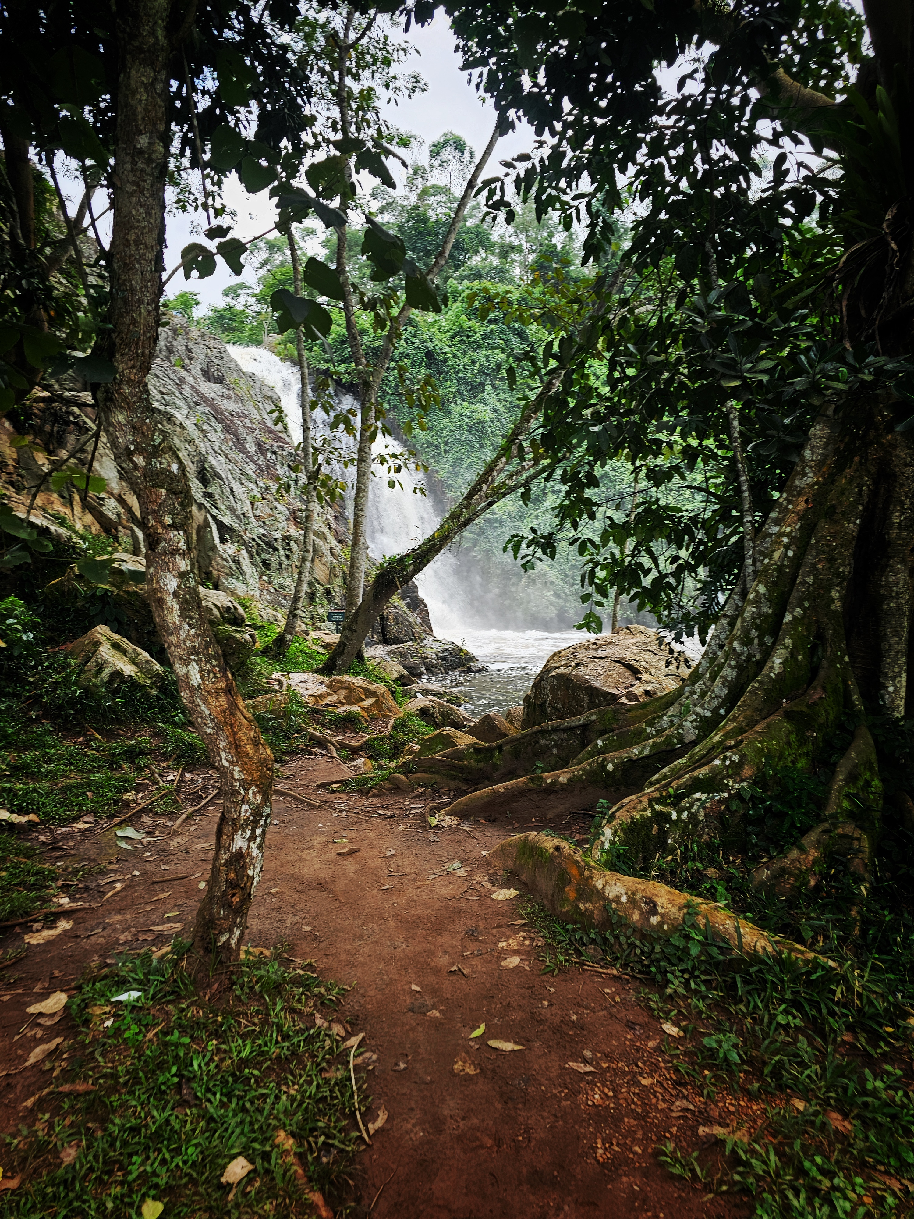 A tranquil waterfall scene.